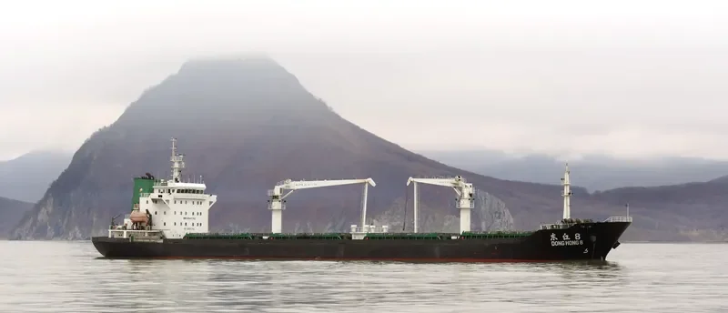 DONGHONG 8 General Cargo IMO 9540742 photo 4