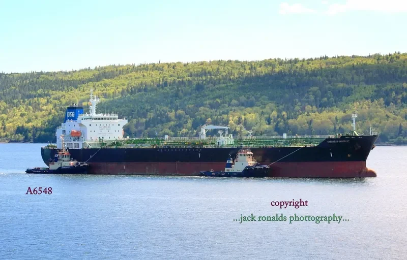 UNIQUE GUARDIAN Tanker IMO 9540821 photo 5