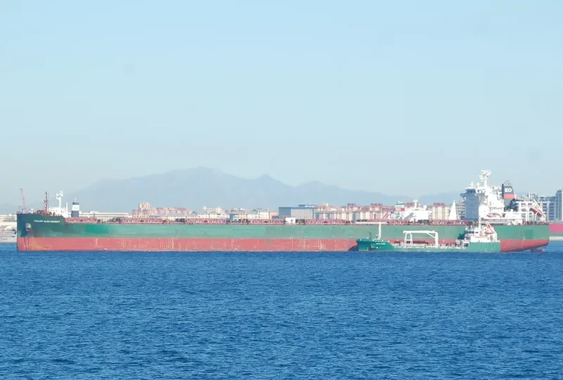 PHILIPP OLDENDORFF Bulk Carrier IMO 9540869 photo 3