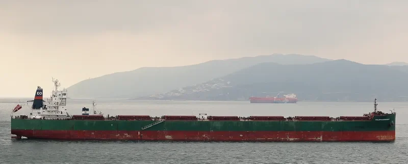 PHILIPP OLDENDORFF Bulk Carrier IMO 9540869 photo 8