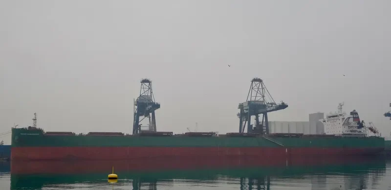 PHILIPP OLDENDORFF Bulk Carrier IMO 9540869 photo 10
