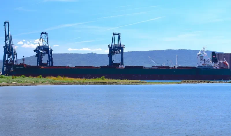 PAUL OLDENDORFF Bulk Carrier IMO 9540871 photo 6