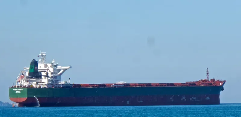 PAUL OLDENDORFF Bulk Carrier IMO 9540871 photo 7