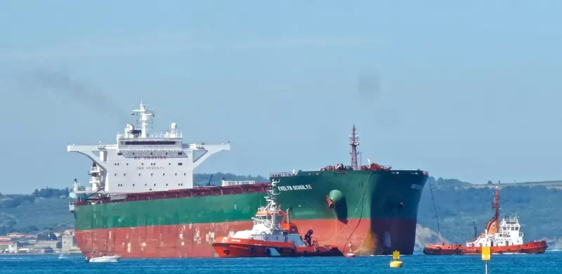 PAUL OLDENDORFF Bulk Carrier IMO 9540871 photo 8