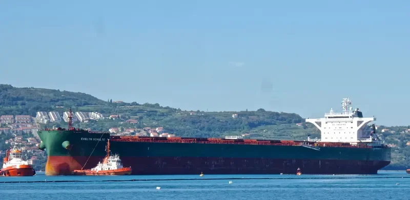PAUL OLDENDORFF Bulk Carrier IMO 9540871 photo 9