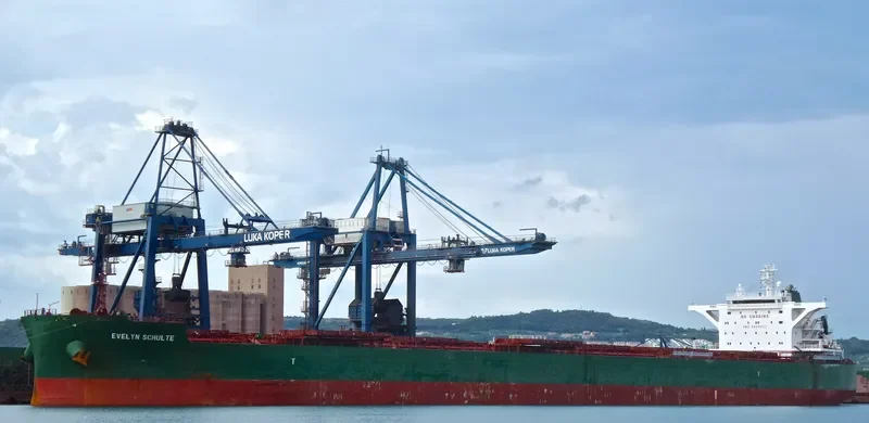 PAUL OLDENDORFF Bulk Carrier IMO 9540871 photo 10
