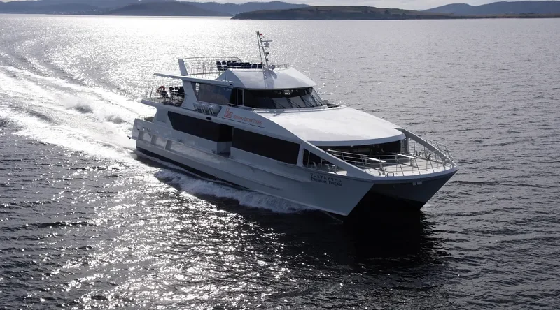 PREMIUM DREAM Passenger Ship IMO 9541007 photo 2