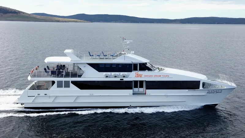 PREMIUM DREAM Passenger Ship IMO 9541007 photo 4