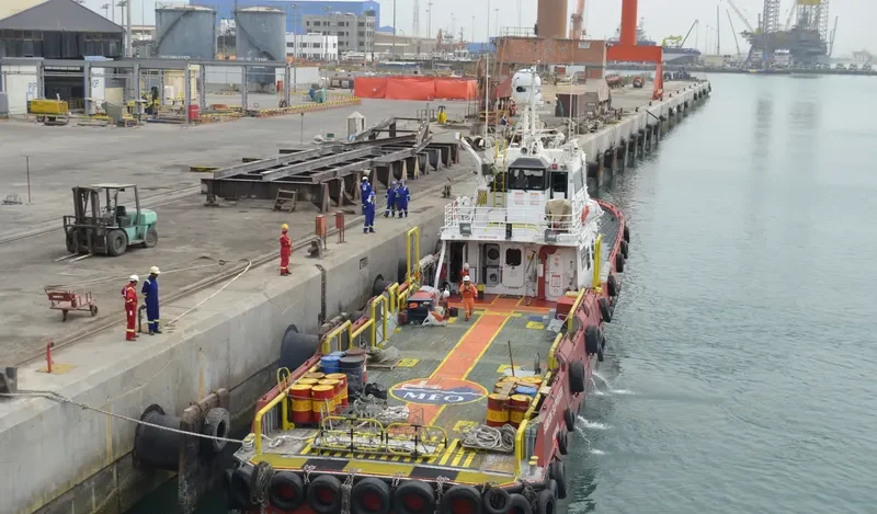 SAMSON SUPPORTER General Cargo IMO 9541215