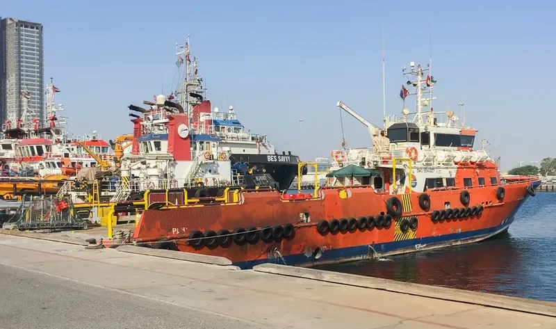 SAMSON SUPPLIER General Cargo IMO 9541227