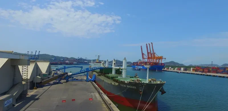 UNION GLORY Bulk Carrier IMO 9541631