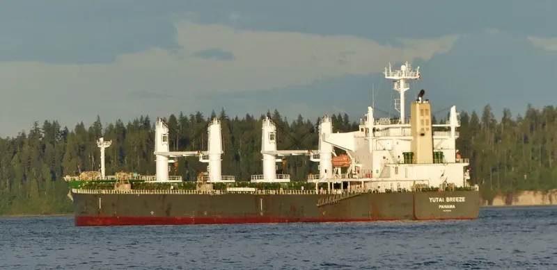 UNION GLORY Bulk Carrier IMO 9541631 photo 8