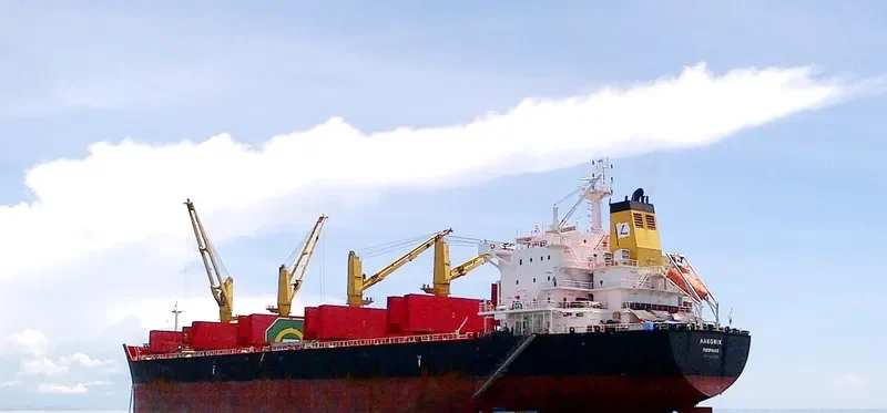 ZHEN XIANG 9 Bulk Carrier IMO 9541825 photo 2