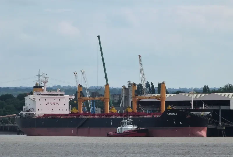 ZHEN XIANG 9 Bulk Carrier IMO 9541825 photo 4