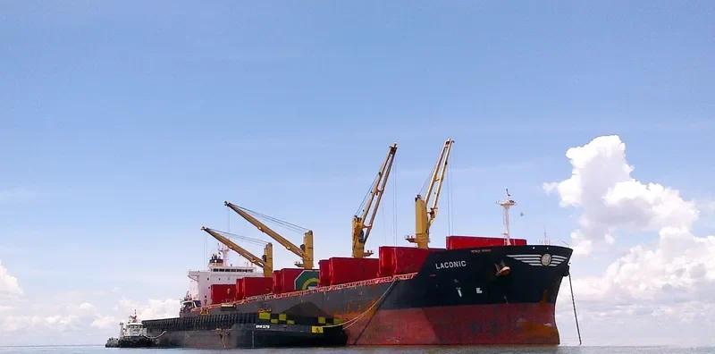 ZHEN XIANG 9 Bulk Carrier IMO 9541825 photo 5