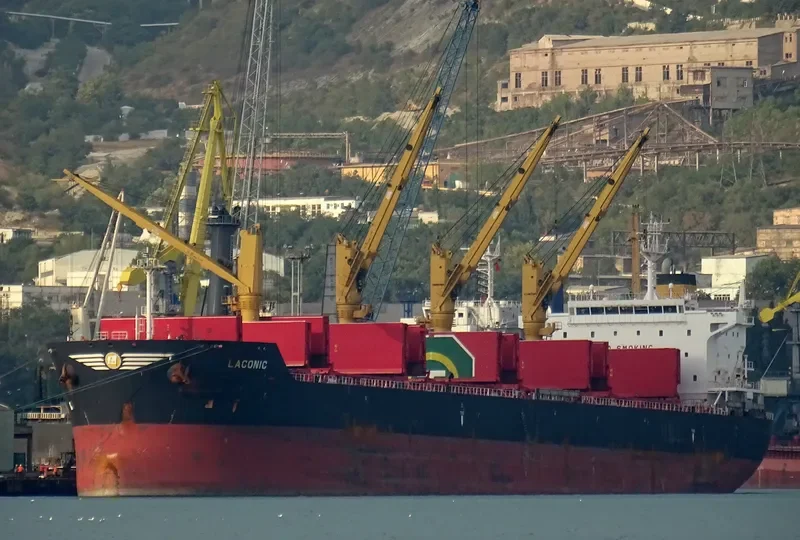 ZHEN XIANG 9 Bulk Carrier IMO 9541825 photo 7