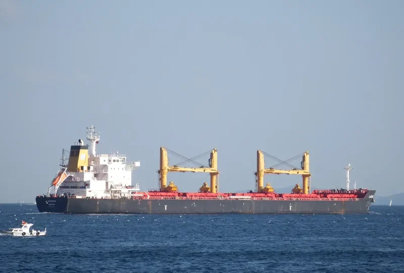 ZHEN XIANG 9 Bulk Carrier IMO 9541825 photo 8