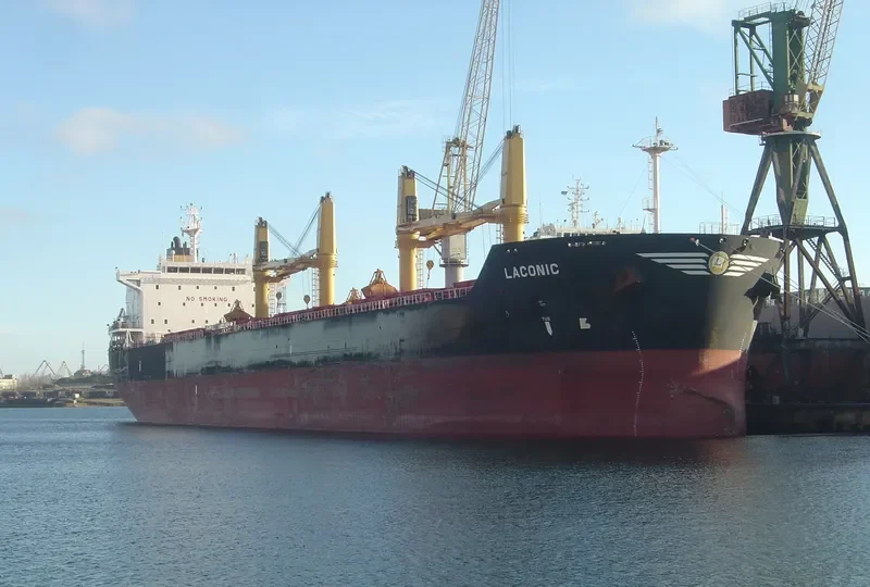 ZHEN XIANG 9 Bulk Carrier IMO 9541825 photo 10