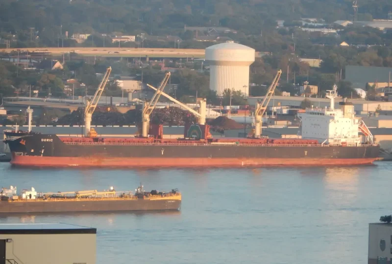 DORIC Bulk Carrier IMO 9541837