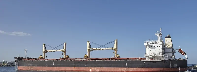 DORIC Bulk Carrier IMO 9541837 photo 5