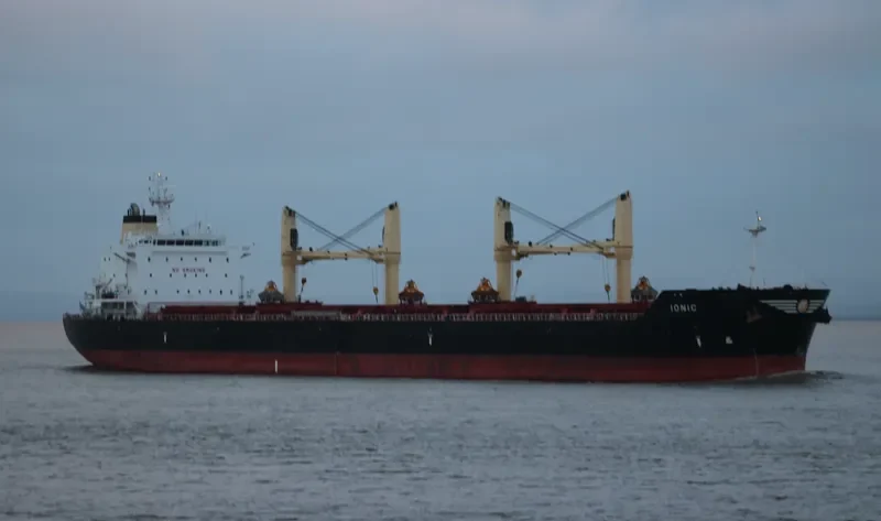 IONIC Bulk Carrier IMO 9541849 photo 4