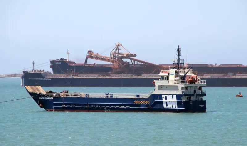 BHAGWAN MOVER General Cargo IMO 9542001