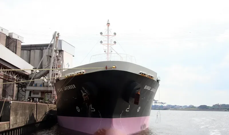BUNGA LAVENDER Tanker IMO 9542130 photo 3