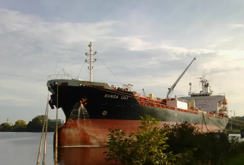 BUNGA LILY Tanker IMO 9542178 photo 3