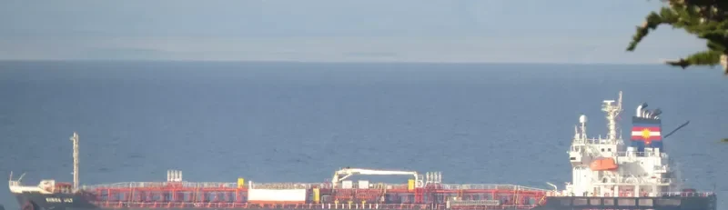 BUNGA LILY Tanker IMO 9542178 photo 4