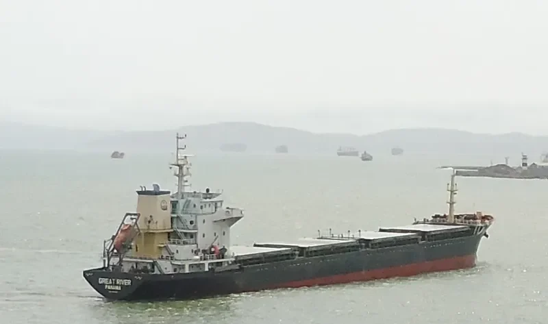 DA HE XIAN Bulk Carrier IMO 9542180 photo 2