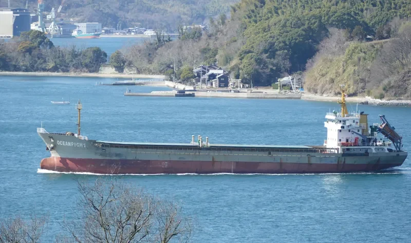 SHENG WEI 1 General Cargo IMO 9542245