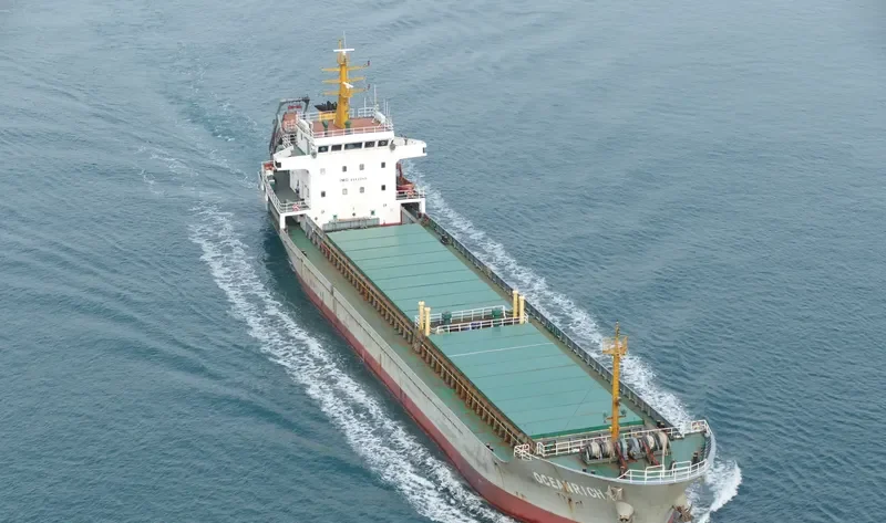 SHENG WEI 1 General Cargo IMO 9542245 photo 5