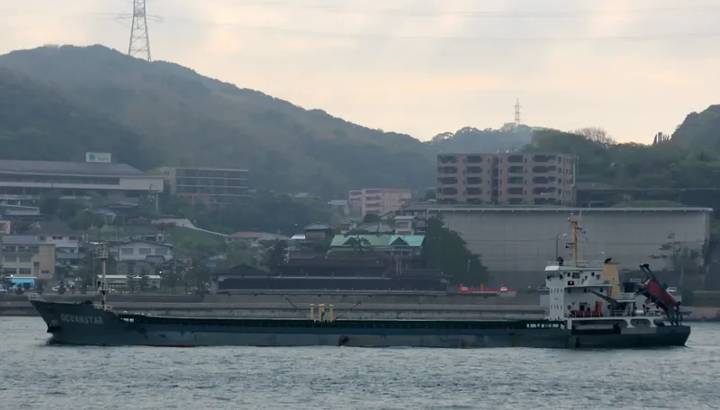 SHENG WEI 1 General Cargo IMO 9542245 photo 8