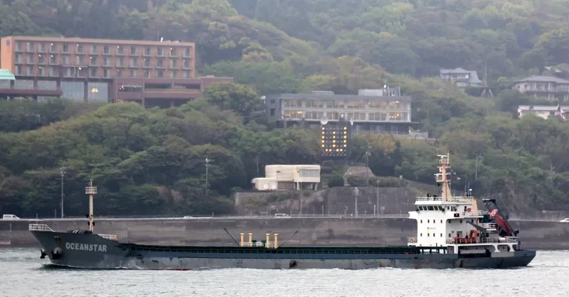 SHENG WEI 1 General Cargo IMO 9542245 photo 9