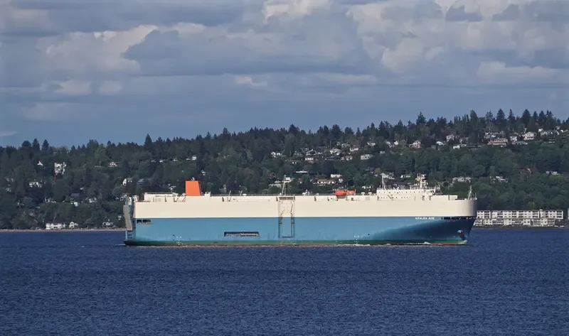 MALAYSIA GRACE General Cargo IMO 9542283 photo 6