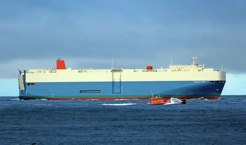 MALAYSIA GRACE General Cargo IMO 9542283 photo 10