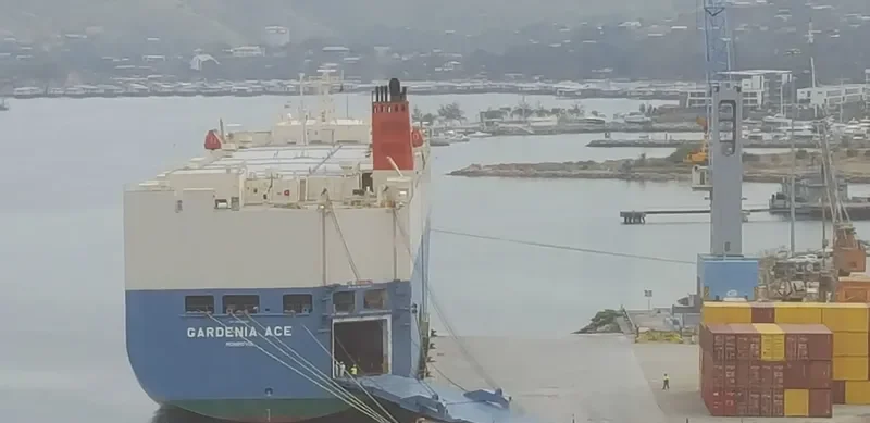 GARDENIA ACE General Cargo IMO 9542295