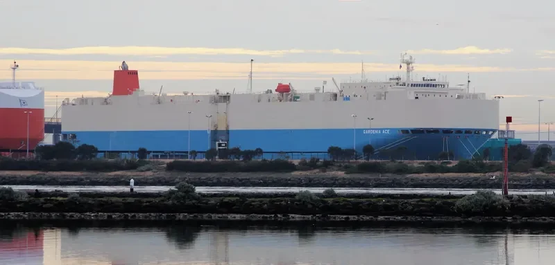 GARDENIA ACE General Cargo IMO 9542295 photo 2