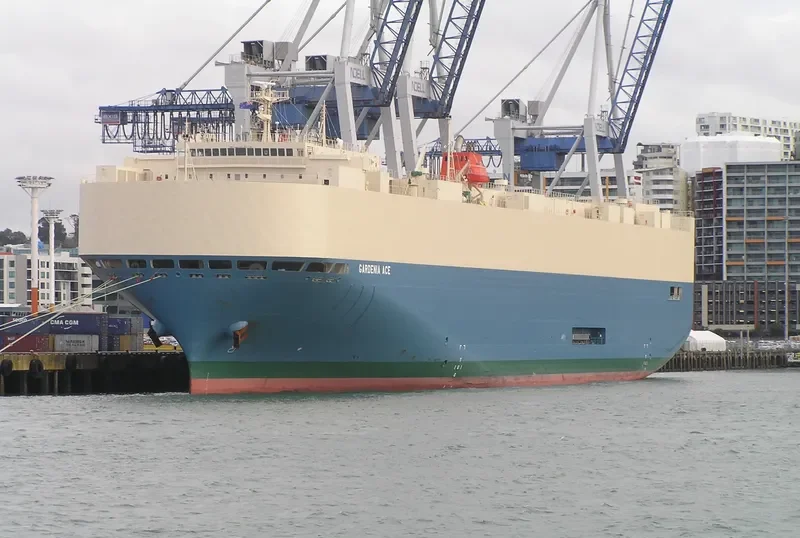 GARDENIA ACE General Cargo IMO 9542295 photo 3