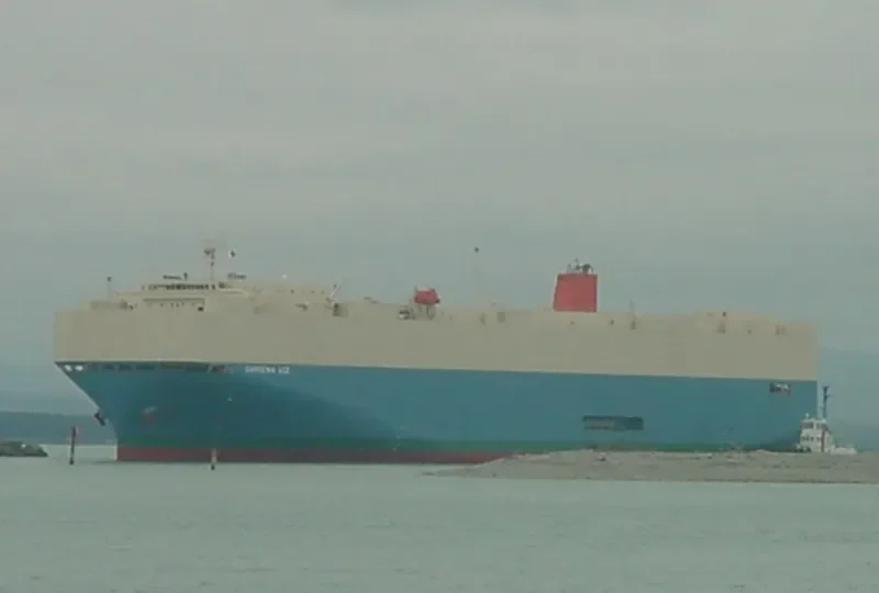 GARDENIA ACE General Cargo IMO 9542295 photo 8