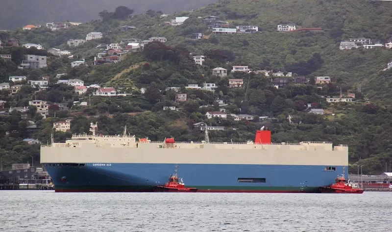 GARDENIA ACE General Cargo IMO 9542295 photo 9
