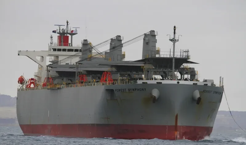 FOREST SYMPHONY Bulk Carrier IMO 9542415