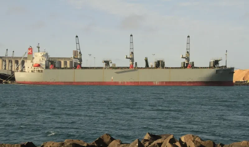 FOREST SYMPHONY Bulk Carrier IMO 9542415 photo 3