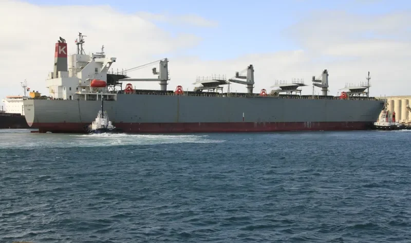 FOREST SYMPHONY Bulk Carrier IMO 9542415 photo 4