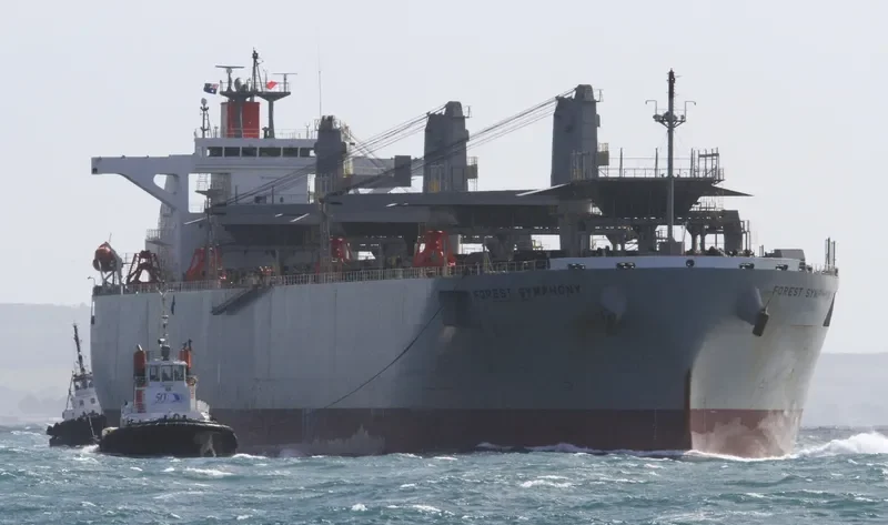 FOREST SYMPHONY Bulk Carrier IMO 9542415 photo 5