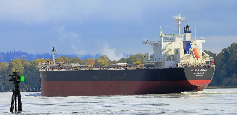 ROSCO OLIVE Bulk Carrier IMO 9542465 photo 2