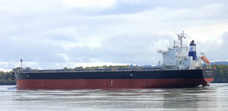 ROSCO OLIVE Bulk Carrier IMO 9542465 photo 3