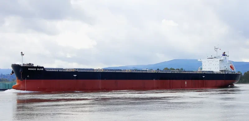 ROSCO OLIVE Bulk Carrier IMO 9542465 photo 4