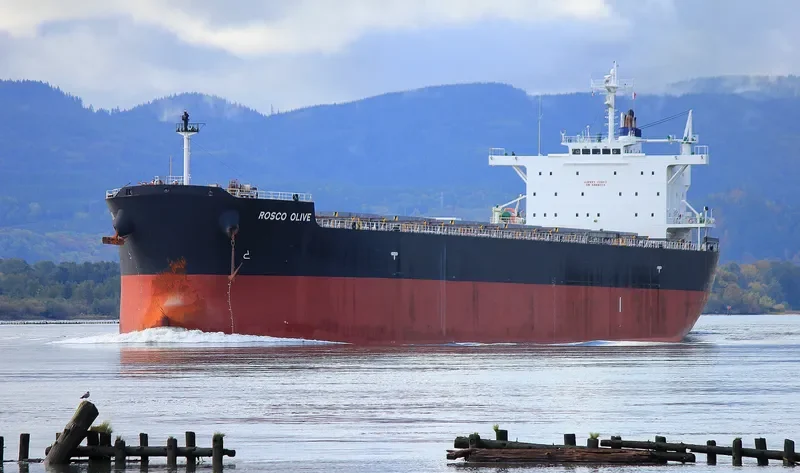 ROSCO OLIVE Bulk Carrier IMO 9542465 photo 5
