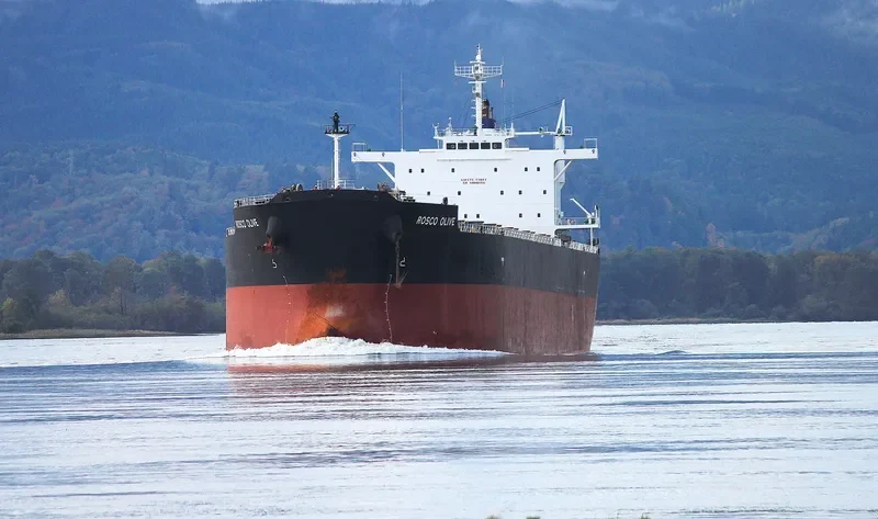 ROSCO OLIVE Bulk Carrier IMO 9542465 photo 6